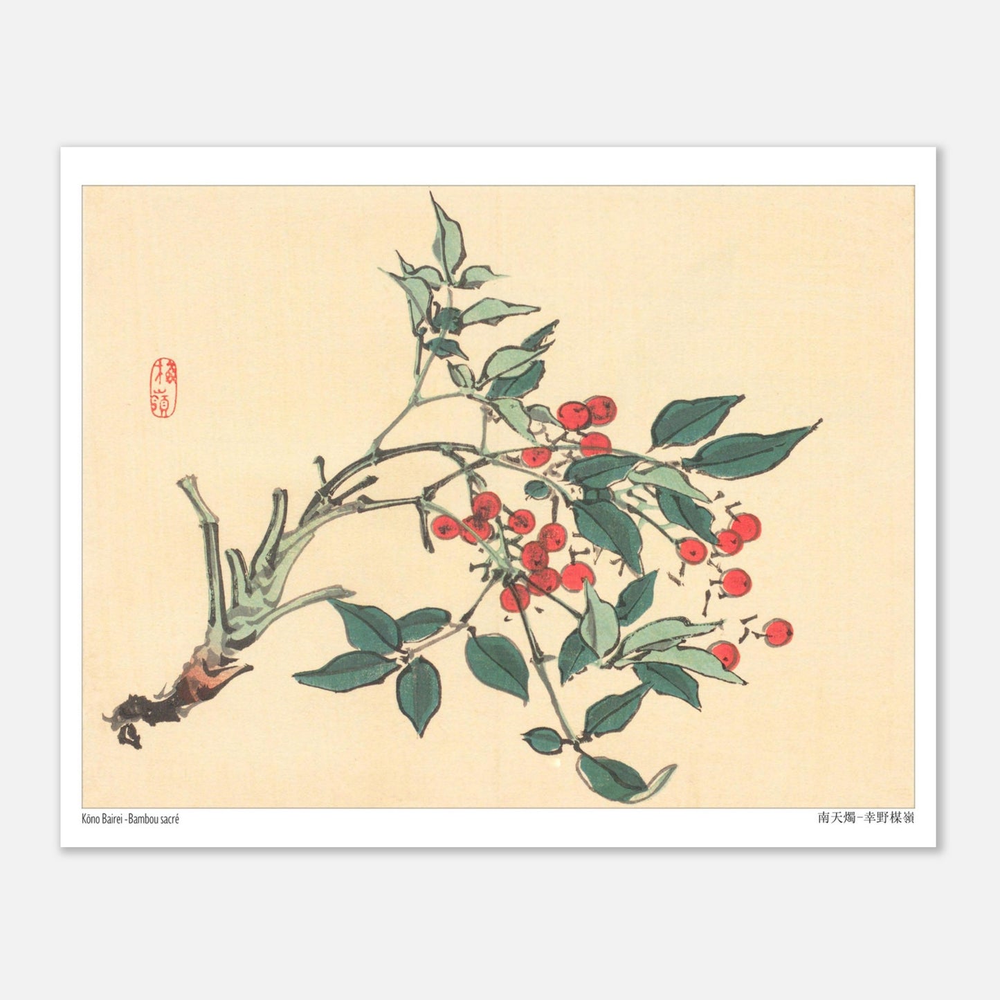 Estampe japonaise de Bambou Sacré par Kōno Bairei (20x25 cm). Une branche de bambou sacré avec des feuilles vertes et des grappes de baies rouges, dans le style d'une illustration botanique japonaise.