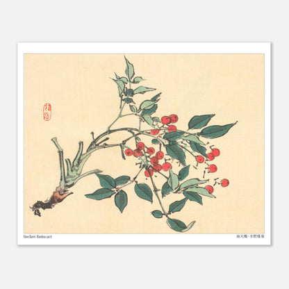 Estampe japonaise de Bambou Sacré par Kōno Bairei (20x25 cm). Une branche de bambou sacré avec des feuilles vertes et des grappes de baies rouges, dans le style d'une illustration botanique japonaise.