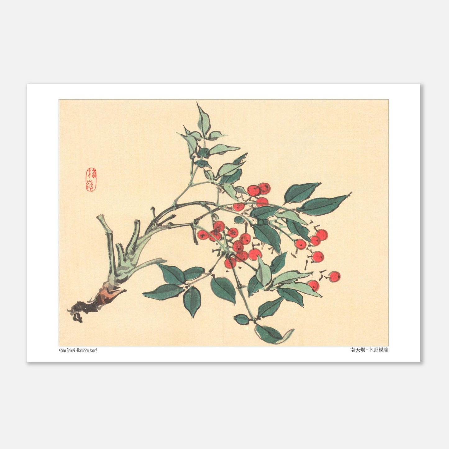 Estampe japonaise de Bambou Sacré par Kōno Bairei (21x29,7 cm (A4)). Une branche de bambou sacré avec des feuilles vertes et des grappes de baies rouges, dans le style d'une illustration botanique japonaise.