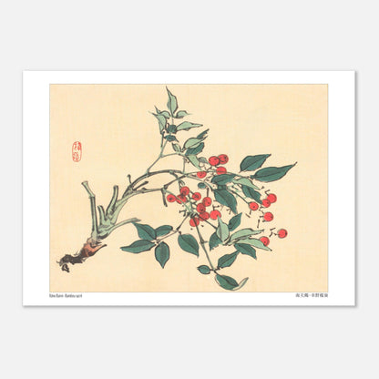 Estampe japonaise de Bambou Sacré par Kōno Bairei (21x29,7 cm (A4)). Une branche de bambou sacré avec des feuilles vertes et des grappes de baies rouges, dans le style d'une illustration botanique japonaise.