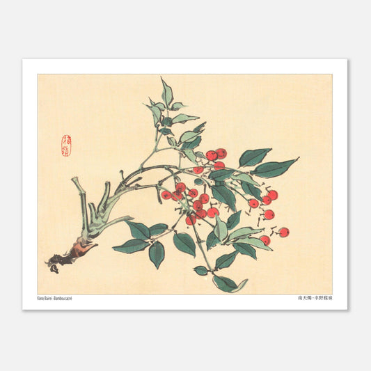 Estampe japonaise de Bambou Sacré par Kōno Bairei (27x35 cm). Une branche de bambou sacré avec des feuilles vertes et des grappes de baies rouges, dans le style d'une illustration botanique japonaise.