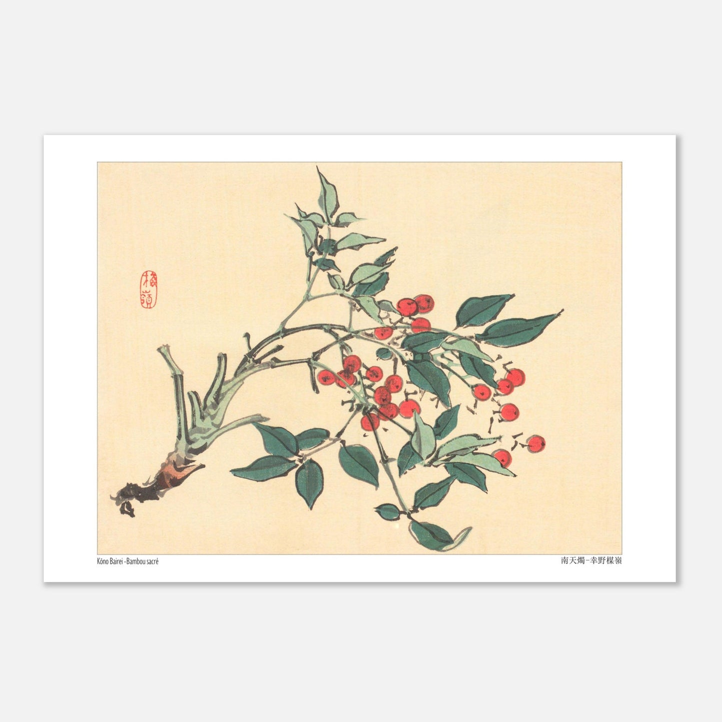 Estampe japonaise de Bambou Sacré par Kōno Bairei (29,7x42 cm (A3)). Une branche de bambou sacré avec des feuilles vertes et des grappes de baies rouges, dans le style d'une illustration botanique japonaise.