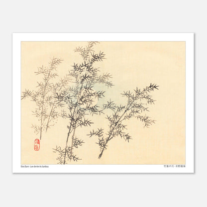 Illustration de Bambous au Clair de Lune par Kōno Bairei (27x35 cm). Dessin d'art japonais de plusieurs branches de bambou feuillu avec une lune floue en arrière-plan.