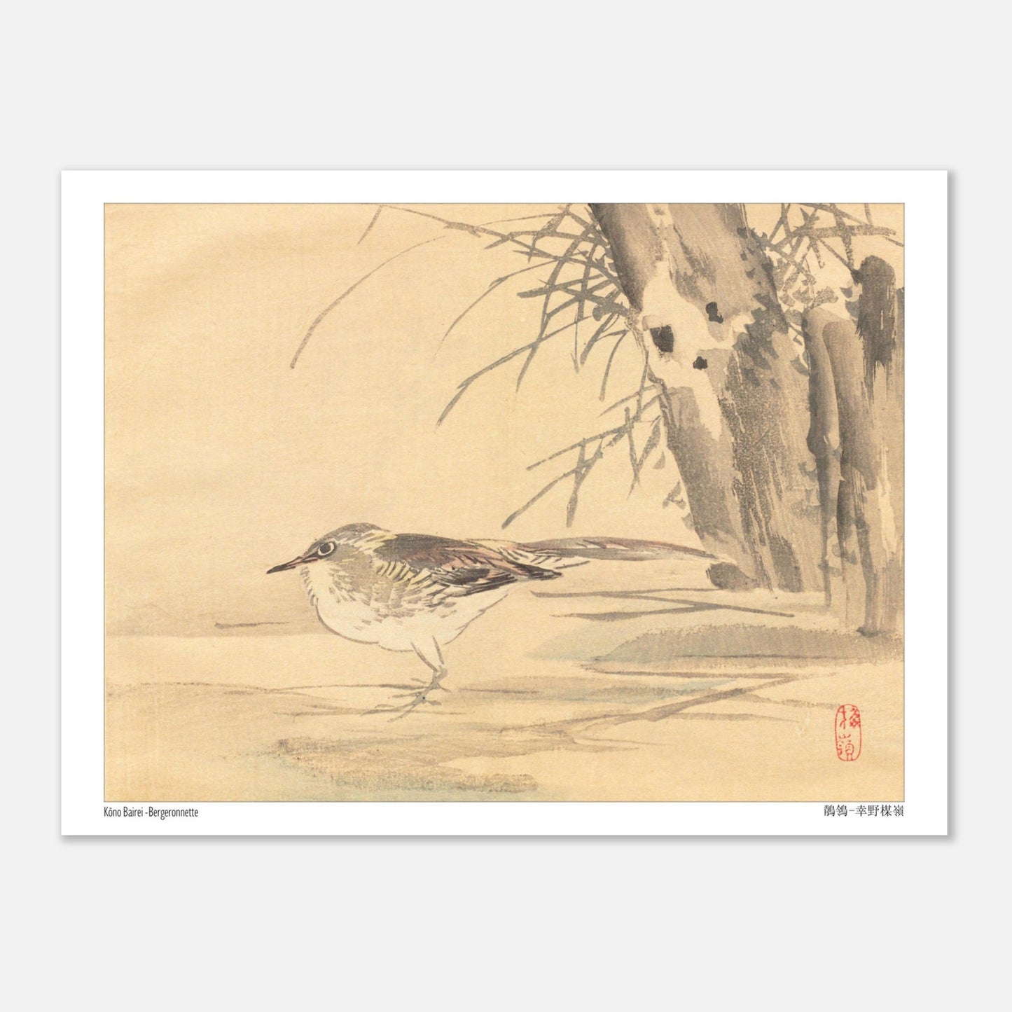 Illustration d'une bergeronnette dans les roseaux par Kōno Bairei (15x20 cm). Illustration naturaliste de Kōno Bairei montrant une Bergeronnette debout sur le sol, avec des roseaux en arrière-plan.