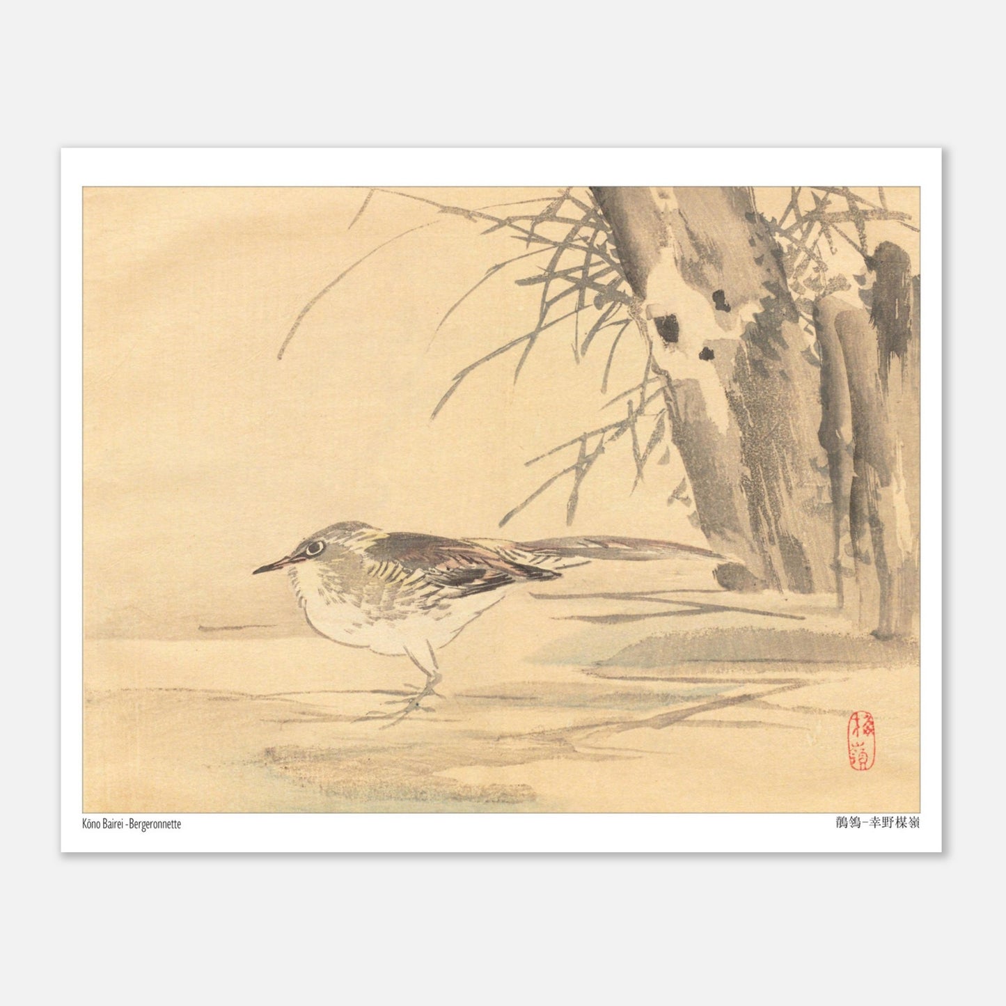 Illustration d'une bergeronnette dans les roseaux par Kōno Bairei (20x25 cm). Illustration naturaliste de Kōno Bairei montrant une Bergeronnette debout sur le sol, avec des roseaux en arrière-plan.
