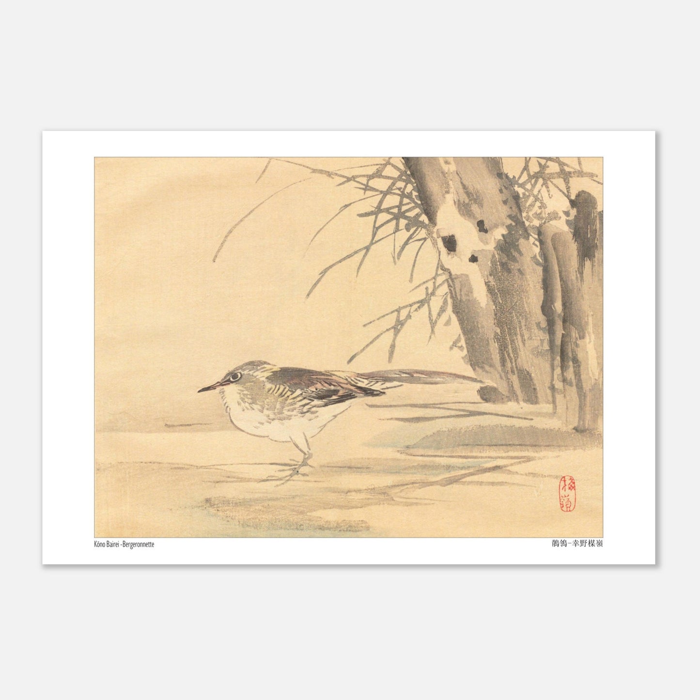 Illustration d'une bergeronnette dans les roseaux par Kōno Bairei (29,7x42 cm (A3)). Illustration naturaliste de Kōno Bairei montrant une Bergeronnette debout sur le sol, avec des roseaux en arrière-plan.