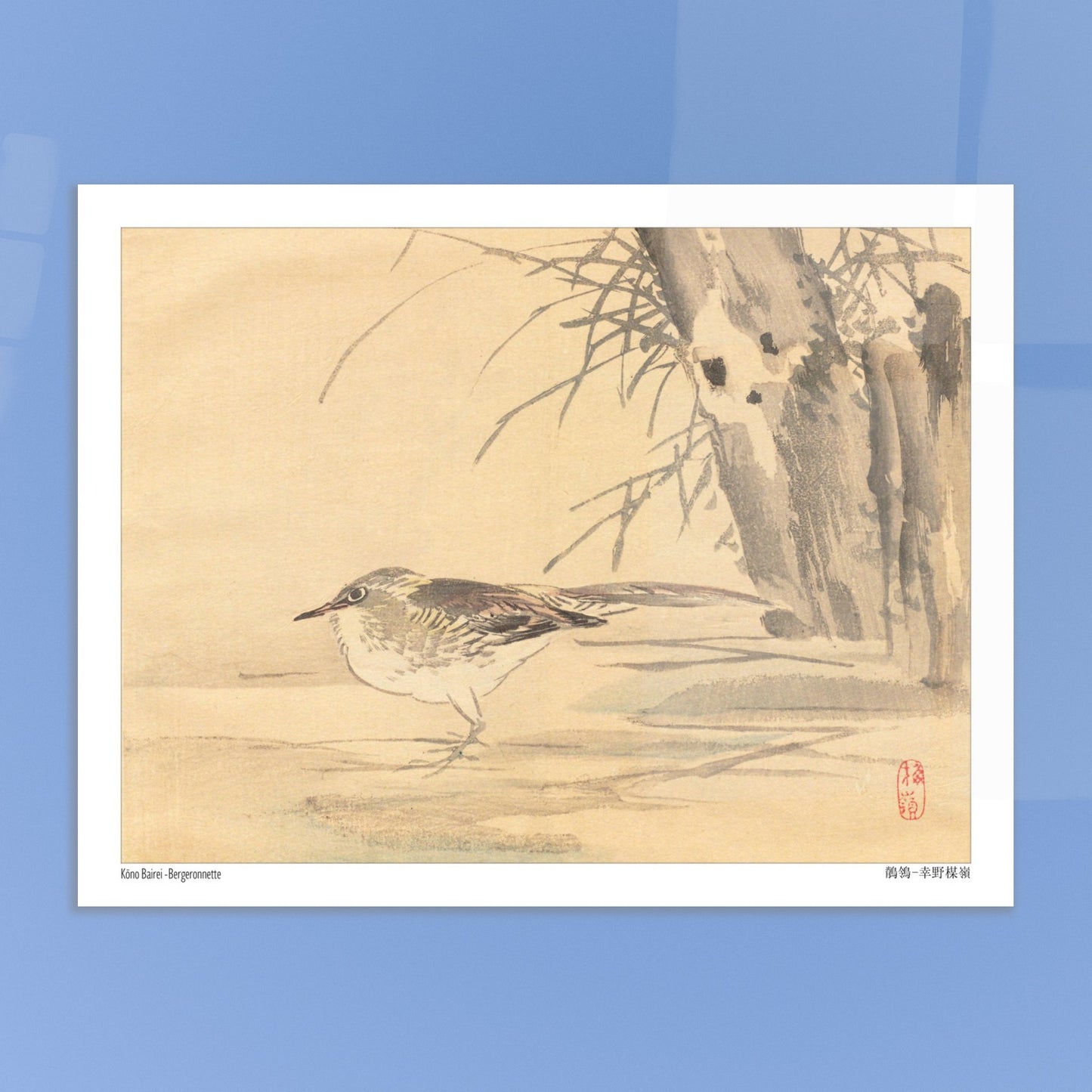 Illustration d'une bergeronnette dans les roseaux par Kōno Bairei. Illustration naturaliste de Kōno Bairei montrant une Bergeronnette debout sur le sol, avec des roseaux en arrière-plan. Image d'illustration 5