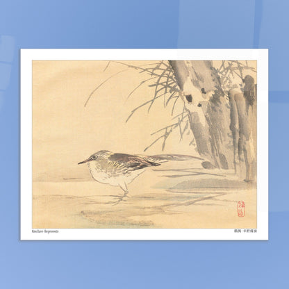 Illustration d'une bergeronnette dans les roseaux par Kōno Bairei. Illustration naturaliste de Kōno Bairei montrant une Bergeronnette debout sur le sol, avec des roseaux en arrière-plan. Image d'illustration 5
