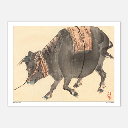 Bœuf de trait (Ushi), estampe japonaise ancienne par Kōno Bairei (15x20 cm). Estampe japonaise représentant un bœuf noir musclé, avec une selle tressée sur le dos, attaché par une corde.
