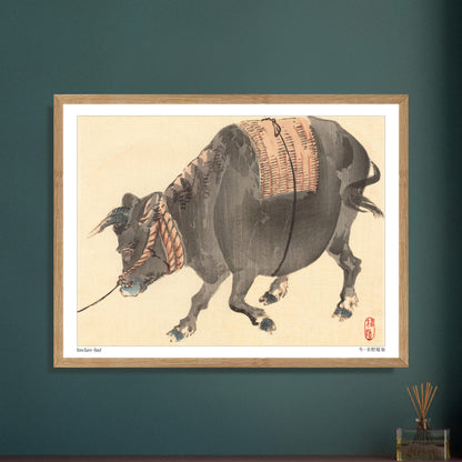 Bœuf de trait (Ushi), estampe japonaise ancienne par Kōno Bairei. Estampe japonaise représentant un bœuf noir musclé, avec une selle tressée sur le dos, attaché par une corde. Image d'illustration 5