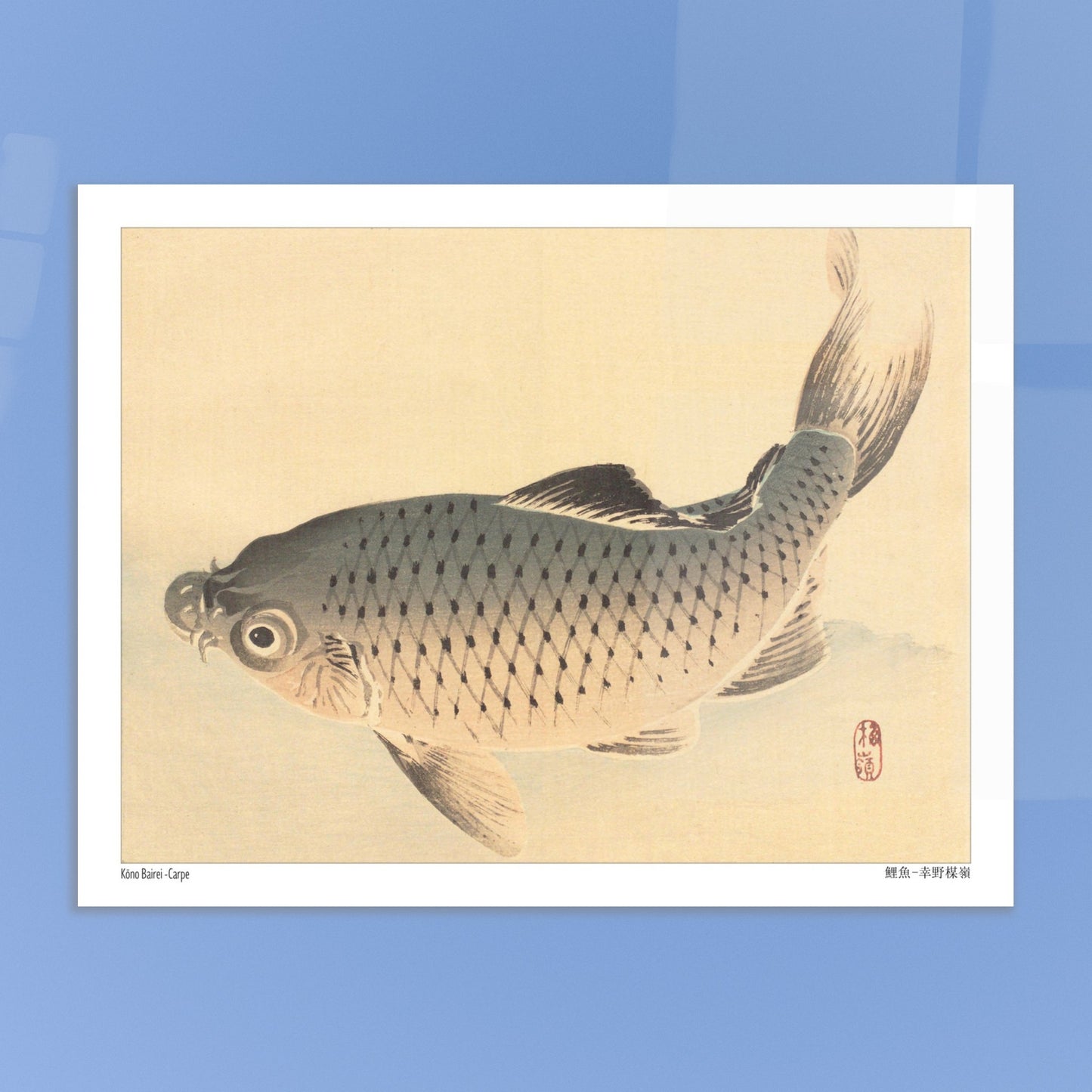 Carpe (Koi), estampe japonaise naturaliste par Kōno Bairei. Estampe japonaise représentant une carpe grise nageant sur un fond clair. Image d'illustration 5