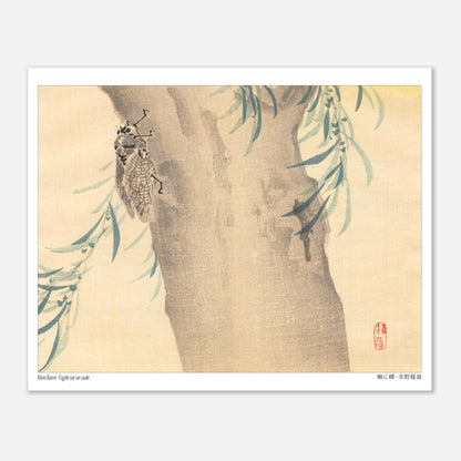 Estampe Japonaise « Cigale sur un saule » (柳に蟬) de Kōno Bairei (20x25 cm). Illustration naturaliste d'une cigale posée sur un tronc d'arbre couvert de feuillage.