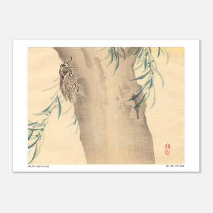 Estampe Japonaise « Cigale sur un saule » (柳に蟬) de Kōno Bairei (21x29,7 cm (A4)). Illustration naturaliste d'une cigale posée sur un tronc d'arbre couvert de feuillage.