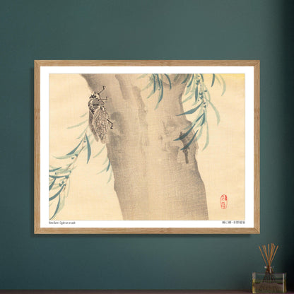 Estampe Japonaise « Cigale sur un saule » (柳に蟬) de Kōno Bairei. Illustration naturaliste d'une cigale posée sur un tronc d'arbre couvert de feuillage. Image d'illustration 5