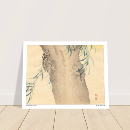 Estampe Japonaise « Cigale sur un saule » (柳に蟬) de Kōno Bairei. Illustration naturaliste d'une cigale posée sur un tronc d'arbre couvert de feuillage. Image d'illustration 6