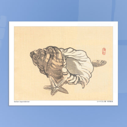 Planche naturaliste de Conque et Étoile de mer par Kōno Bairei. Estampe japonaise représentant une conque et une étoile de mer sur un fond beige. Image d'illustration 5