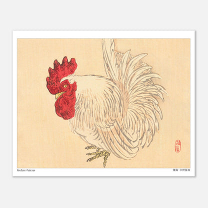 Illustration d'un Coq nain blanc, estampe japonaise de Kōno Bairei (20x25 cm). Illustration d'un coq nain blanc à crête rouge, dessinée par Kōno Bairei sur fond beige.