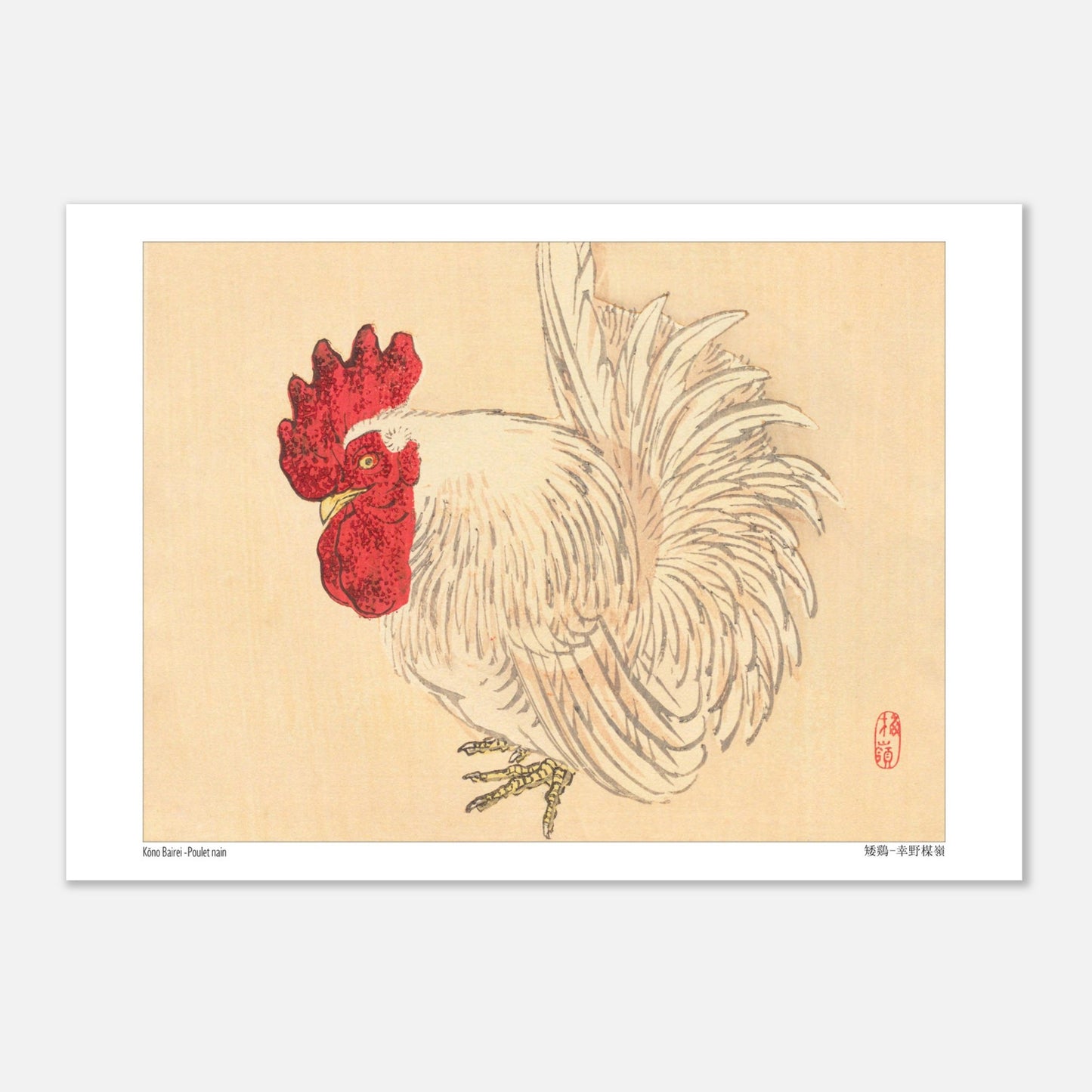 Illustration d'un Coq nain blanc, estampe japonaise de Kōno Bairei (21x29,7 cm (A4)). Illustration d'un coq nain blanc à crête rouge, dessinée par Kōno Bairei sur fond beige.