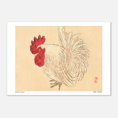 Illustration d'un Coq nain blanc, estampe japonaise de Kōno Bairei (21x29,7 cm (A4)). Illustration d'un coq nain blanc à crête rouge, dessinée par Kōno Bairei sur fond beige.