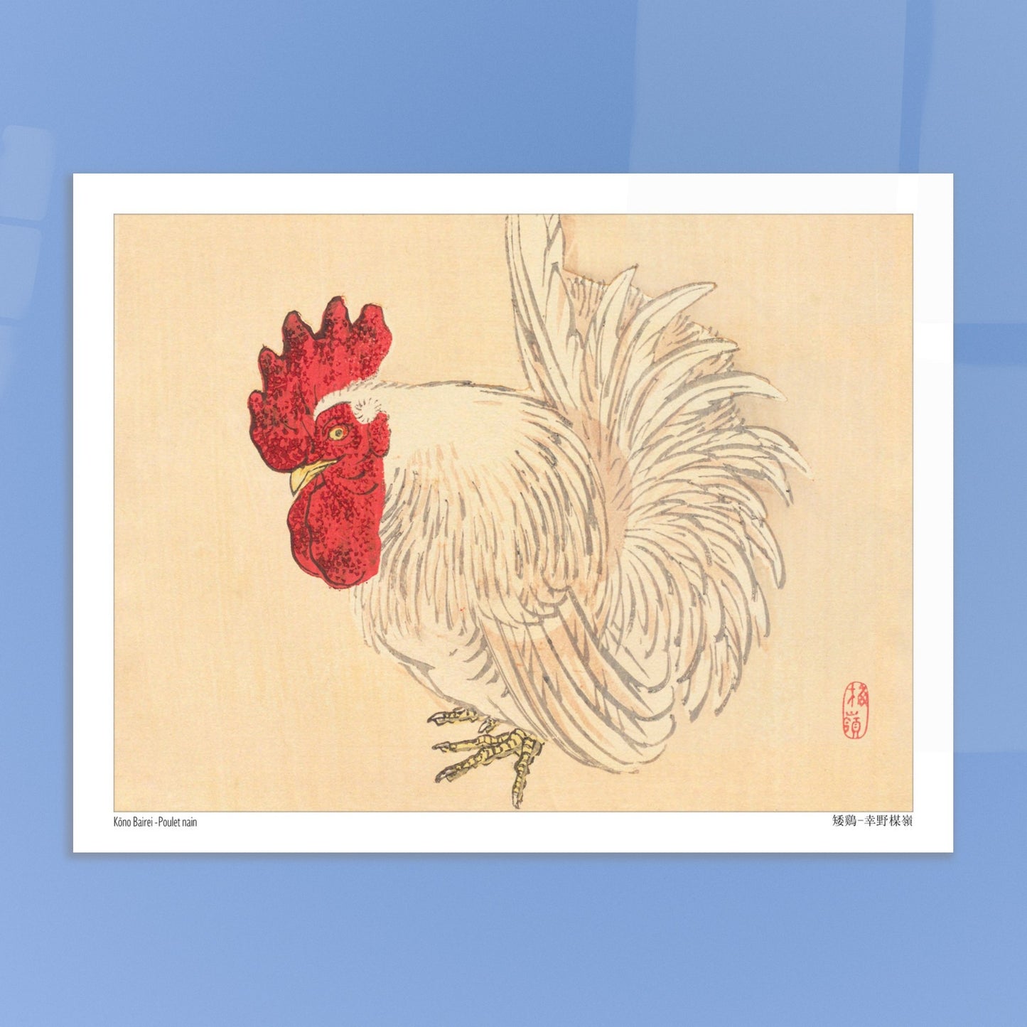 Illustration d'un Coq nain blanc, estampe japonaise de Kōno Bairei. Illustration d'un coq nain blanc à crête rouge, dessinée par Kōno Bairei sur fond beige. Image d'illustration 6