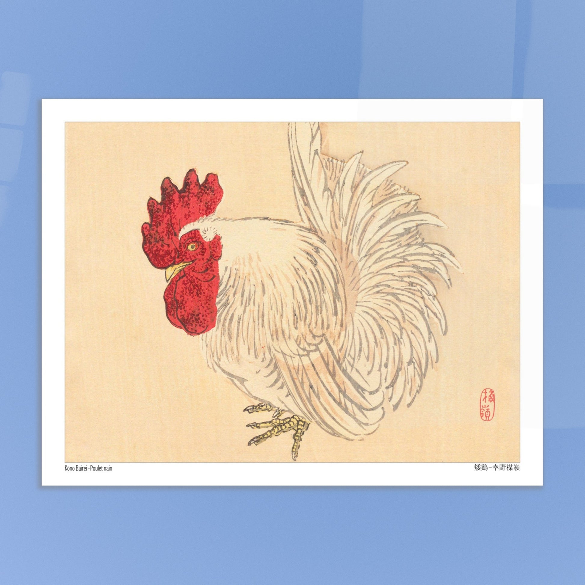 Illustration d'un Coq nain blanc, estampe japonaise de Kōno Bairei. Illustration d'un coq nain blanc à crête rouge, dessinée par Kōno Bairei sur fond beige. Image d'illustration 6