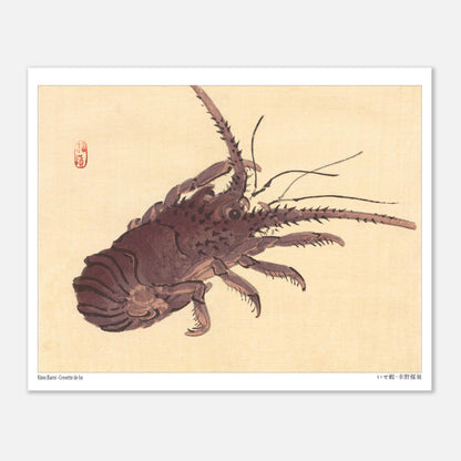 Estampe japonaise d'une crevette de Ise par Kōno Bairei (20x25 cm). Illustration naturaliste d'une crevette de Kōno Bairei sur fond beige, aux couleurs brunâtres et aux détails noirs pour les antennes et les pattes.