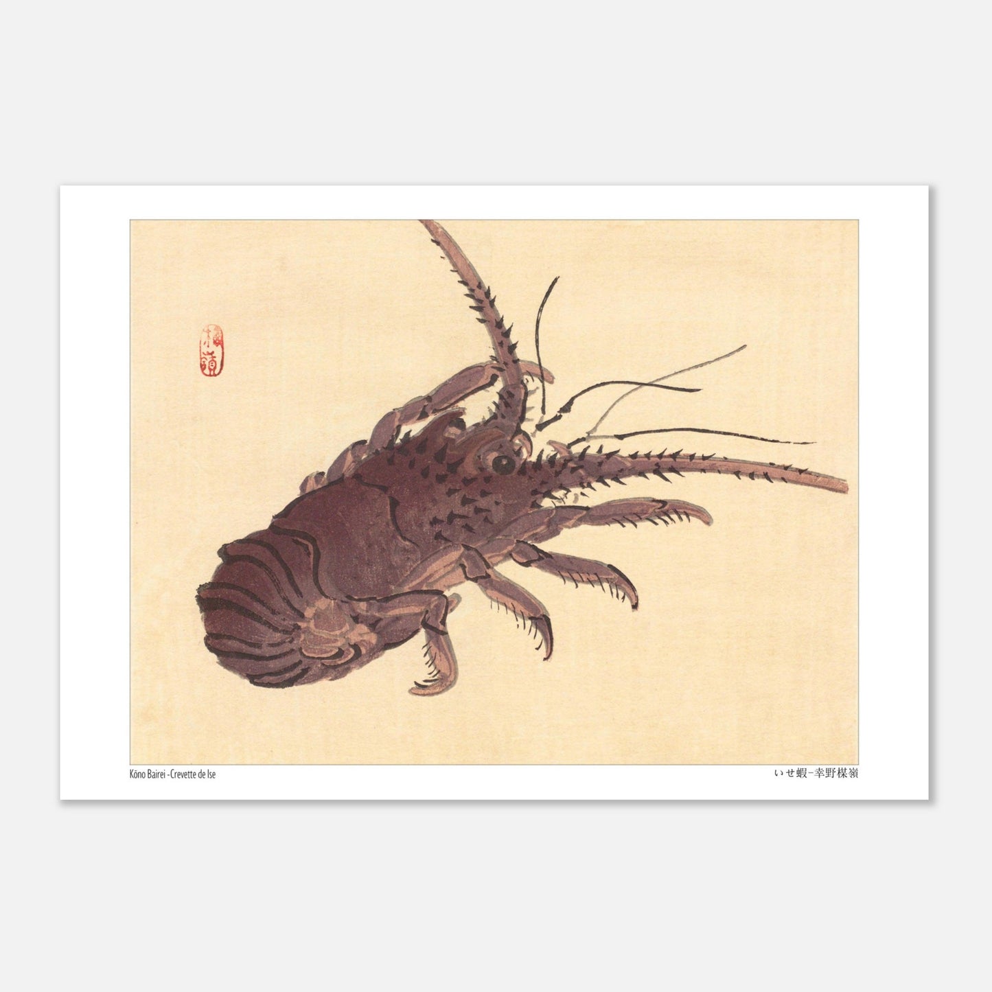 Estampe japonaise d'une crevette de Ise par Kōno Bairei (21x29,7 cm (A4)). Illustration naturaliste d'une crevette de Kōno Bairei sur fond beige, aux couleurs brunâtres et aux détails noirs pour les antennes et les pattes.