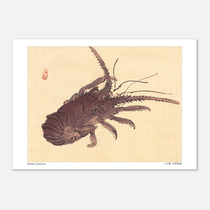 Estampe japonaise d'une crevette de Ise par Kōno Bairei (21x29,7 cm (A4)). Illustration naturaliste d'une crevette de Kōno Bairei sur fond beige, aux couleurs brunâtres et aux détails noirs pour les antennes et les pattes.