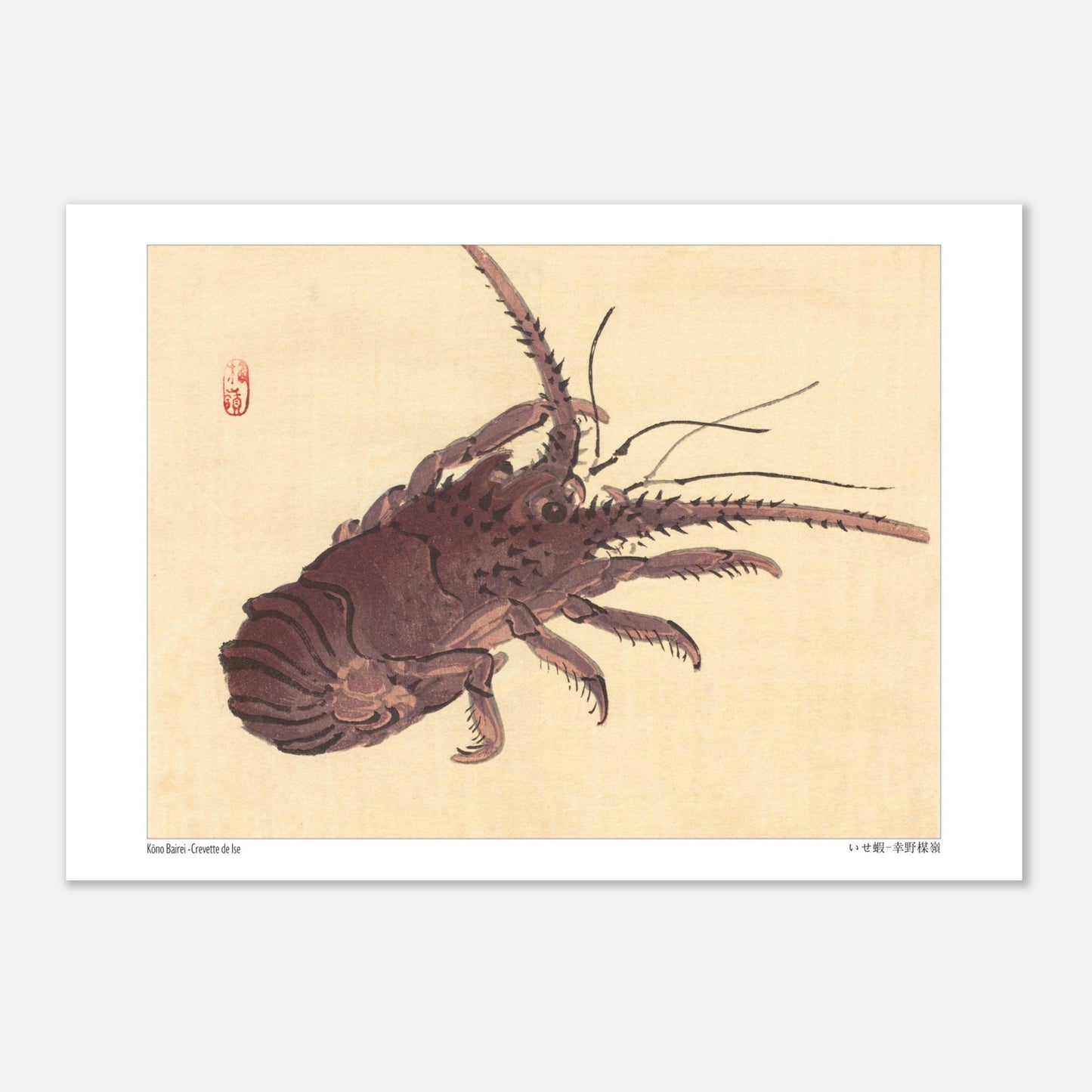 Estampe japonaise d'une crevette de Ise par Kōno Bairei (29,7x42 cm (A3)). Illustration naturaliste d'une crevette de Kōno Bairei sur fond beige, aux couleurs brunâtres et aux détails noirs pour les antennes et les pattes.