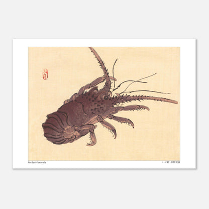 Estampe japonaise d'une crevette de Ise par Kōno Bairei (29,7x42 cm (A3)). Illustration naturaliste d'une crevette de Kōno Bairei sur fond beige, aux couleurs brunâtres et aux détails noirs pour les antennes et les pattes.