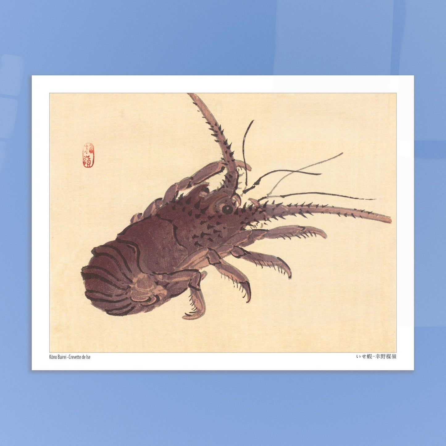 Estampe japonaise d'une crevette de Ise par Kōno Bairei. Illustration naturaliste d'une crevette de Kōno Bairei sur fond beige, aux couleurs brunâtres et aux détails noirs pour les antennes et les pattes. Image d'illustration 6