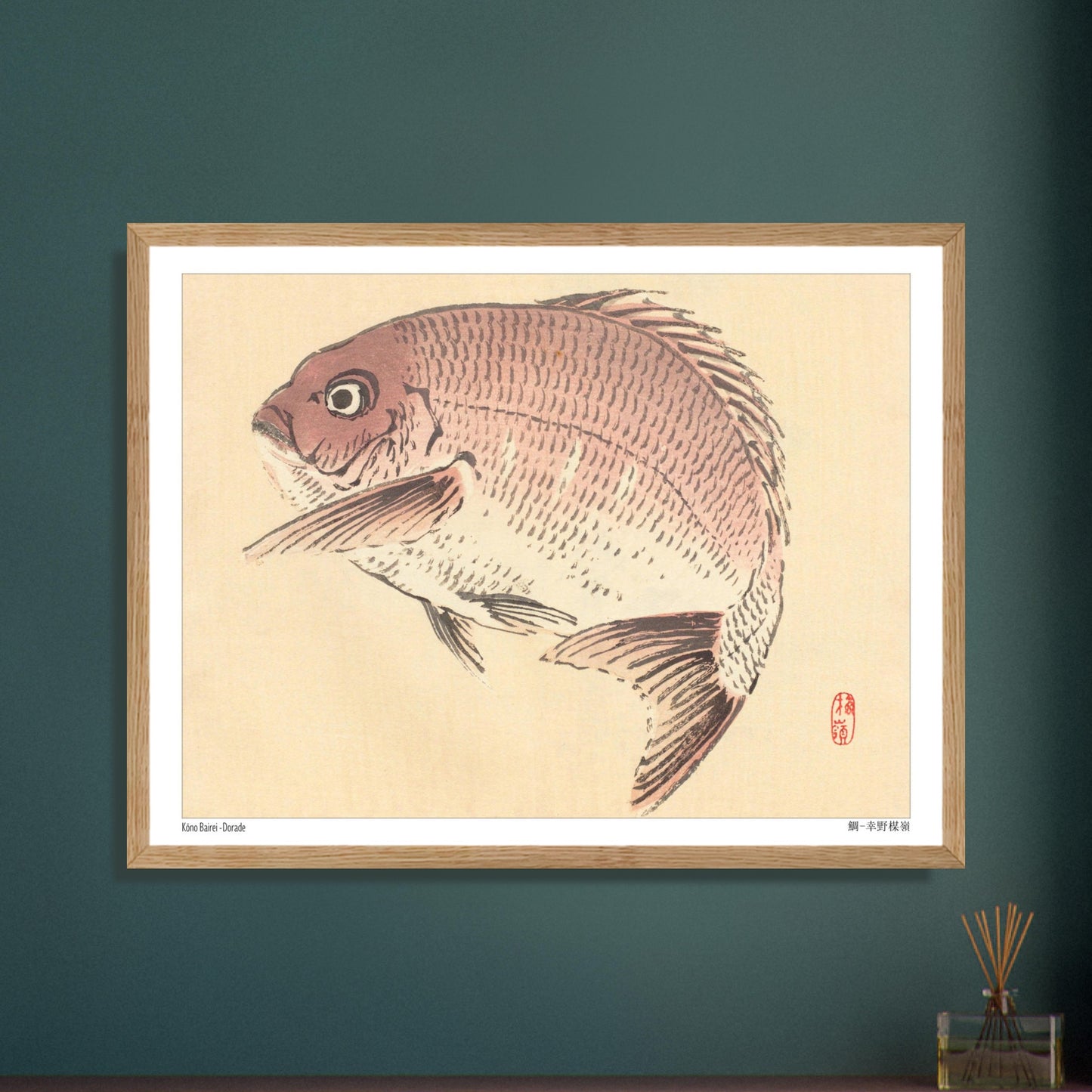 Illustration Naturaliste d'une Dorade, Estampe Japonaise de Kōno Bairei. Une estampe japonaise représentant une dorade de couleur rosée. Image d'illustration 6