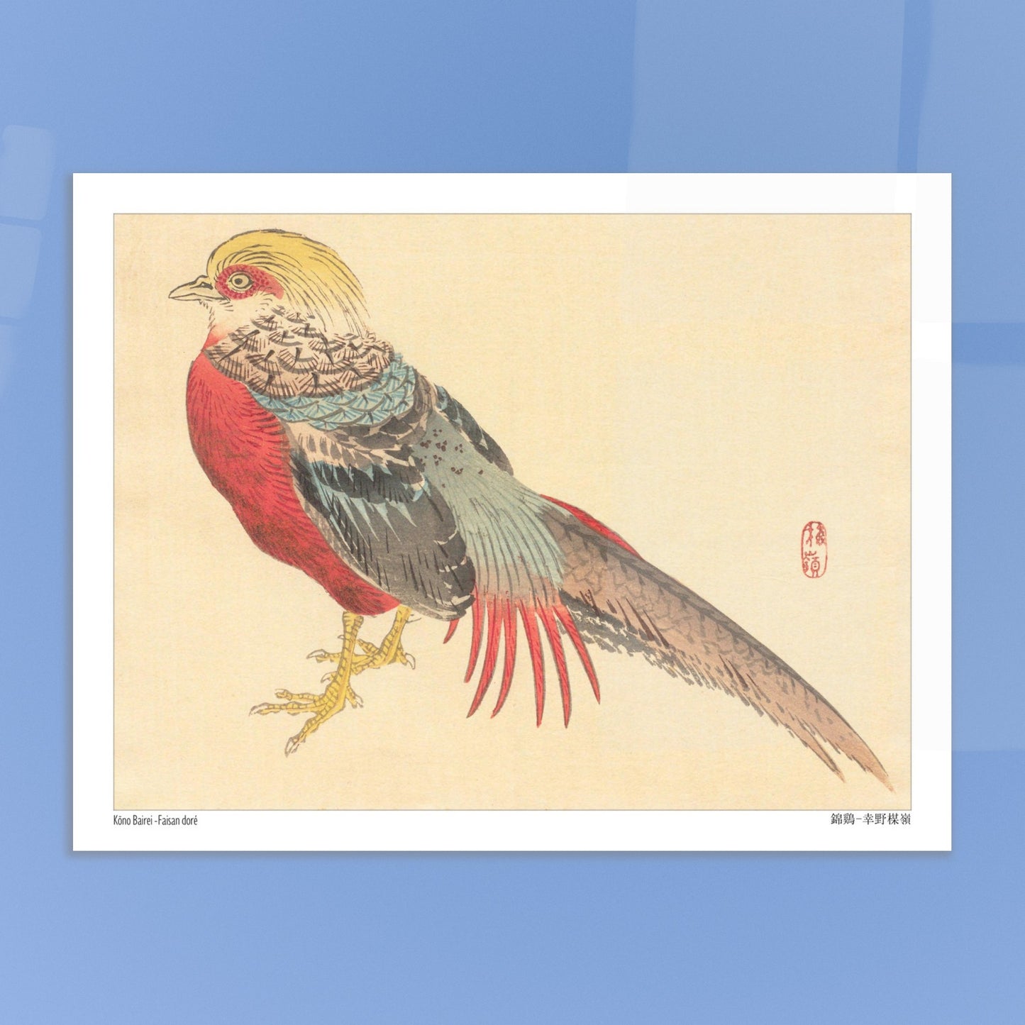 Illustration d'un Faisan Doré, estampe japonaise de Kōno Bairei. Illustration naturaliste d'un faisan doré aux couleurs vives, posé sur ses pattes jaunes. Image d'illustration 6