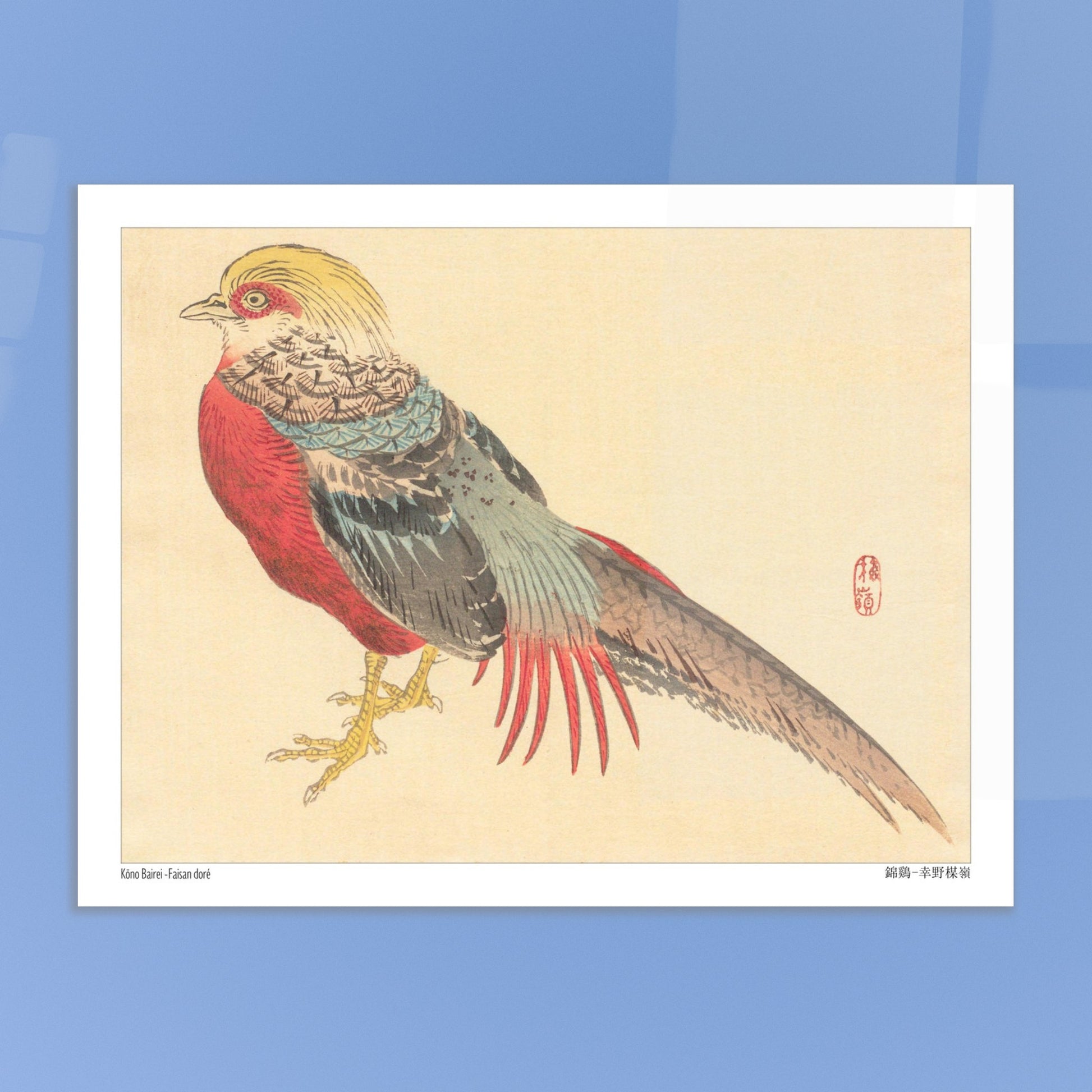 Illustration d'un Faisan Doré, estampe japonaise de Kōno Bairei. Illustration naturaliste d'un faisan doré aux couleurs vives, posé sur ses pattes jaunes. Image d'illustration 6