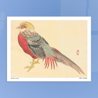 Illustration d'un Faisan Doré, estampe japonaise de Kōno Bairei. Illustration naturaliste d'un faisan doré aux couleurs vives, posé sur ses pattes jaunes. Image d'illustration 6