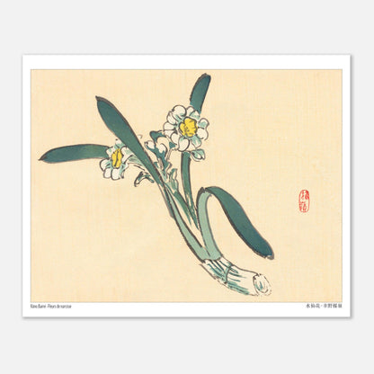 Estampe Japonaise de Fleurs de Narcisse par Kōno Bairei (20x25 cm). Une estampe japonaise représentant des fleurs de narcisse blanches et jaunes avec des feuilles vertes.