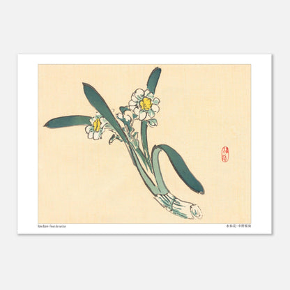Estampe Japonaise de Fleurs de Narcisse par Kōno Bairei (21x29,7 cm (A4)). Une estampe japonaise représentant des fleurs de narcisse blanches et jaunes avec des feuilles vertes.