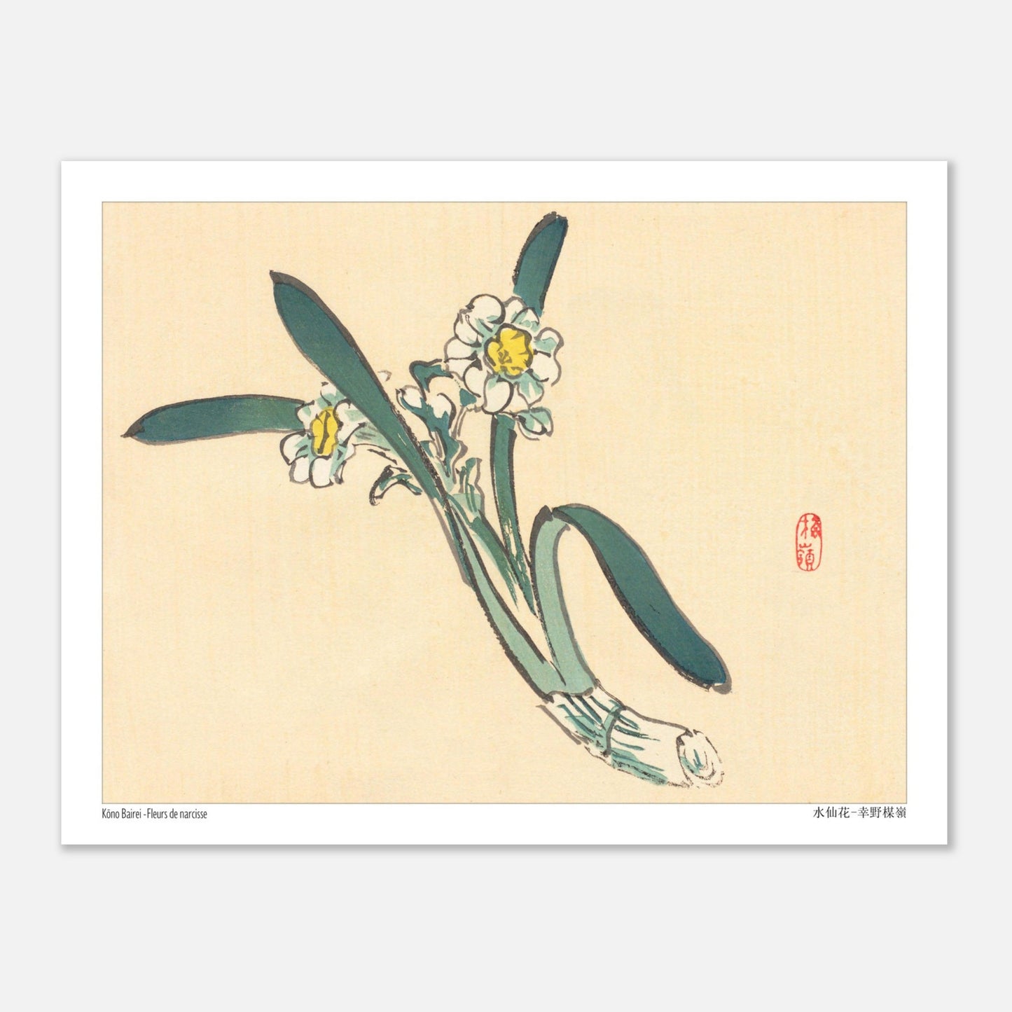 Estampe Japonaise de Fleurs de Narcisse par Kōno Bairei (27x35 cm). Une estampe japonaise représentant des fleurs de narcisse blanches et jaunes avec des feuilles vertes.