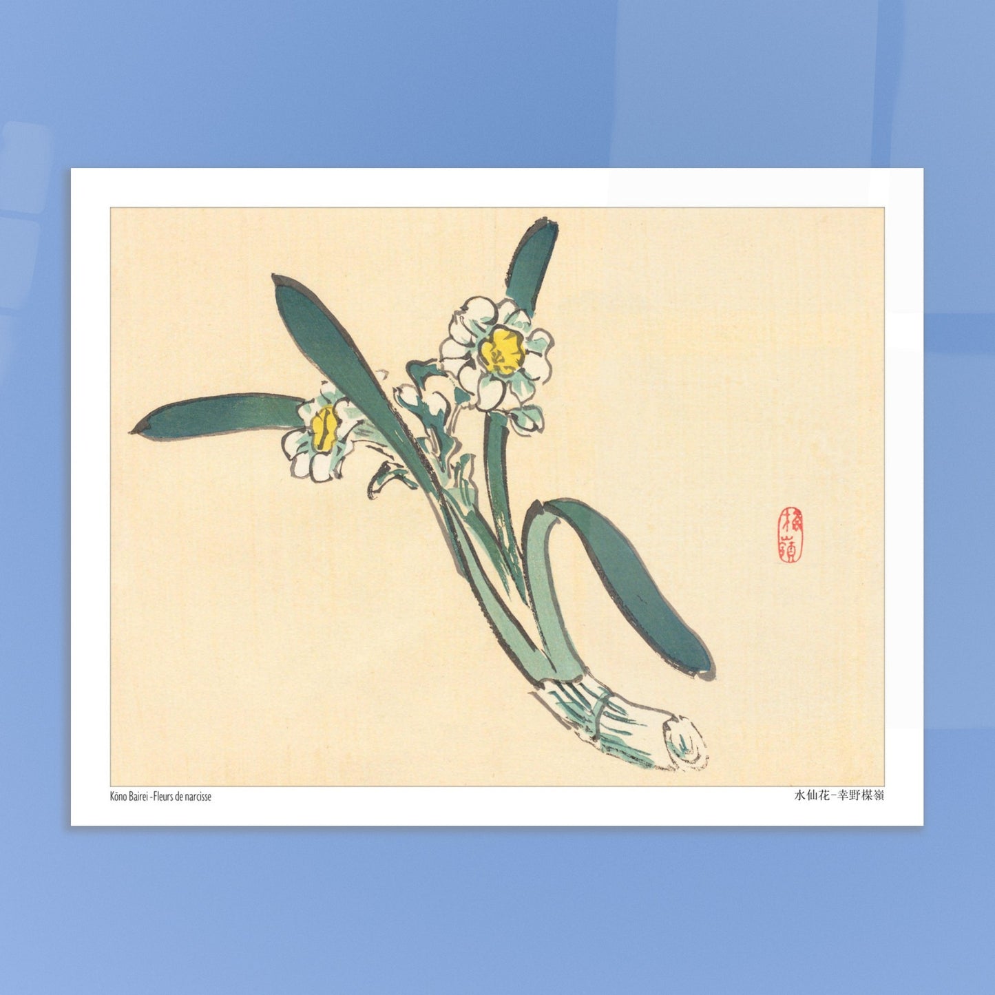 Estampe Japonaise de Fleurs de Narcisse par Kōno Bairei. Une estampe japonaise représentant des fleurs de narcisse blanches et jaunes avec des feuilles vertes. Image d'illustration 6