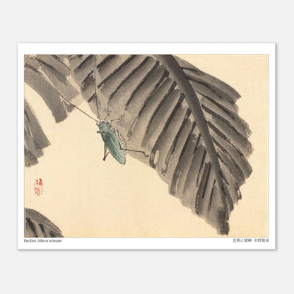 Illustration d'un Grillon sur une Feuille de Bananier, par Kōno Bairei (20x25 cm). Estampe japonaise d'un grillon vert sur une feuille de bananier sombre, avec un sceau rouge.