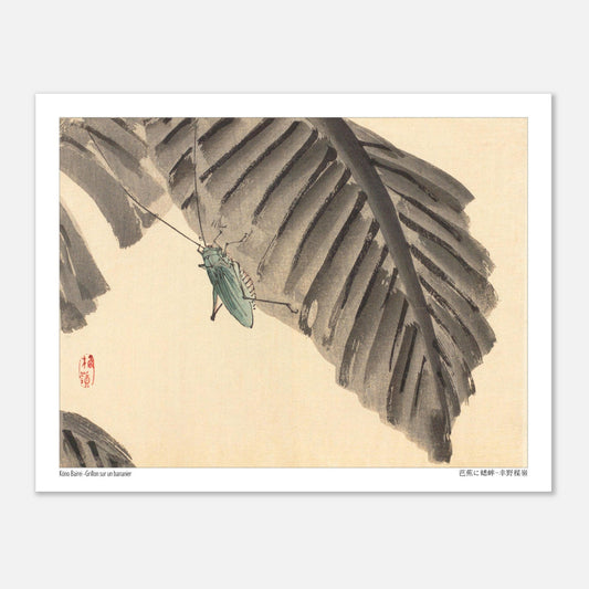 Illustration d'un Grillon sur une Feuille de Bananier, par Kōno Bairei (27x35 cm). Estampe japonaise d'un grillon vert sur une feuille de bananier sombre, avec un sceau rouge.