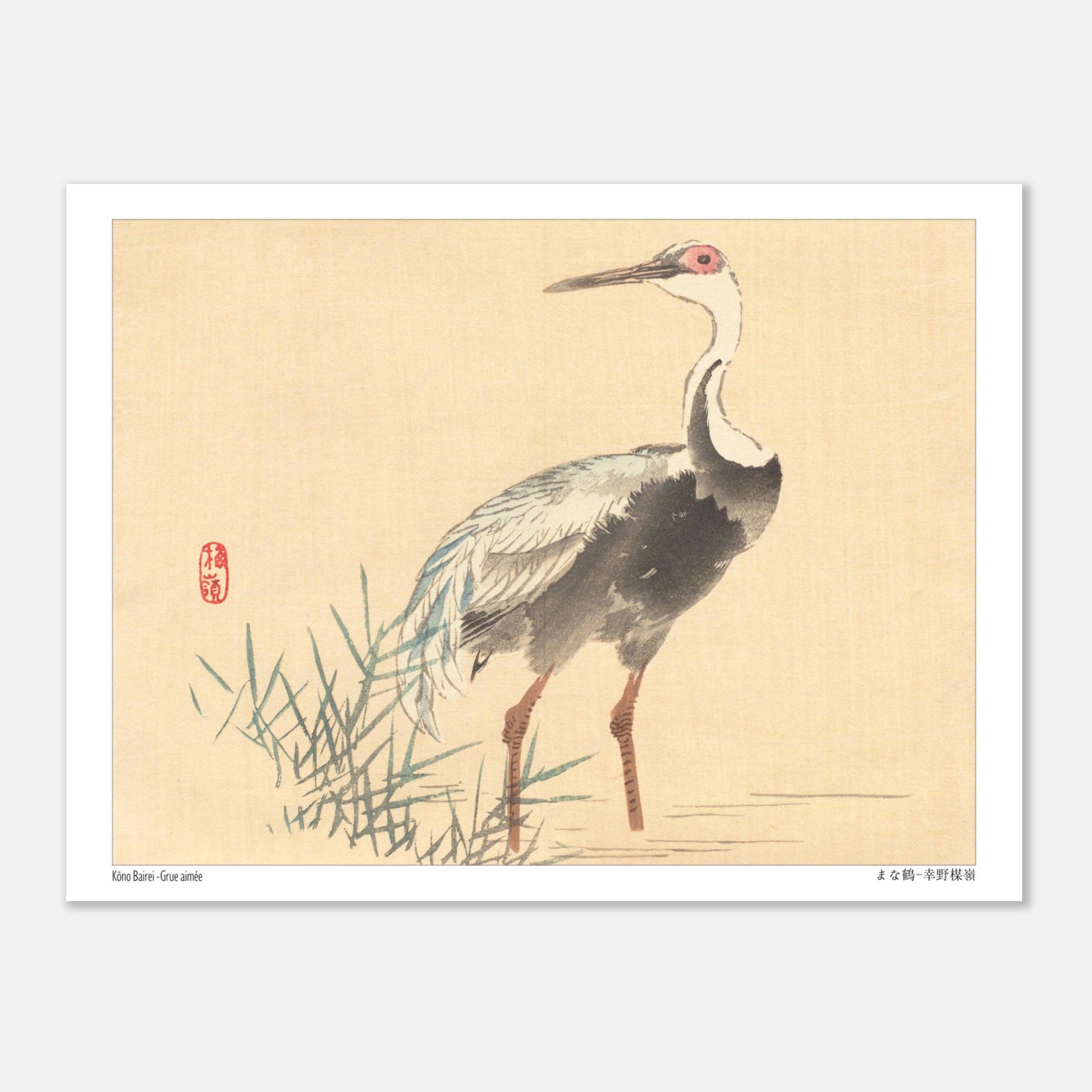 Grue Aimée dans les Roseaux, Illustration Naturaliste de Kōno Bairei (15x20 cm). Illustration naturaliste d'une grue aimée de Kōno Bairei, se tenant debout dans l'eau entourée de roseaux, sur fond beige.