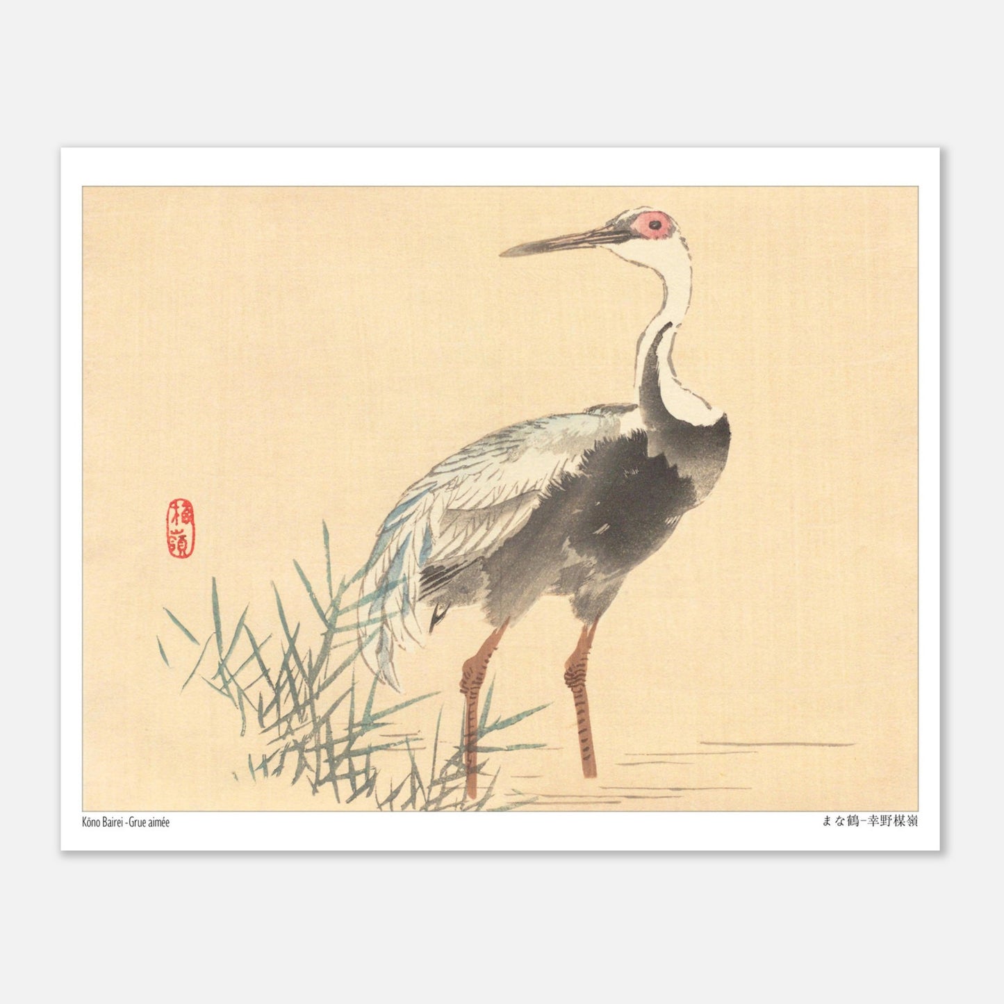 Grue Aimée dans les Roseaux, Illustration Naturaliste de Kōno Bairei (20x25 cm). Illustration naturaliste d'une grue aimée de Kōno Bairei, se tenant debout dans l'eau entourée de roseaux, sur fond beige.