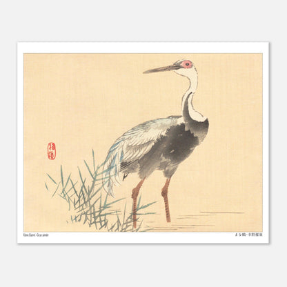 Grue Aimée dans les Roseaux, Illustration Naturaliste de Kōno Bairei (20x25 cm). Illustration naturaliste d'une grue aimée de Kōno Bairei, se tenant debout dans l'eau entourée de roseaux, sur fond beige.