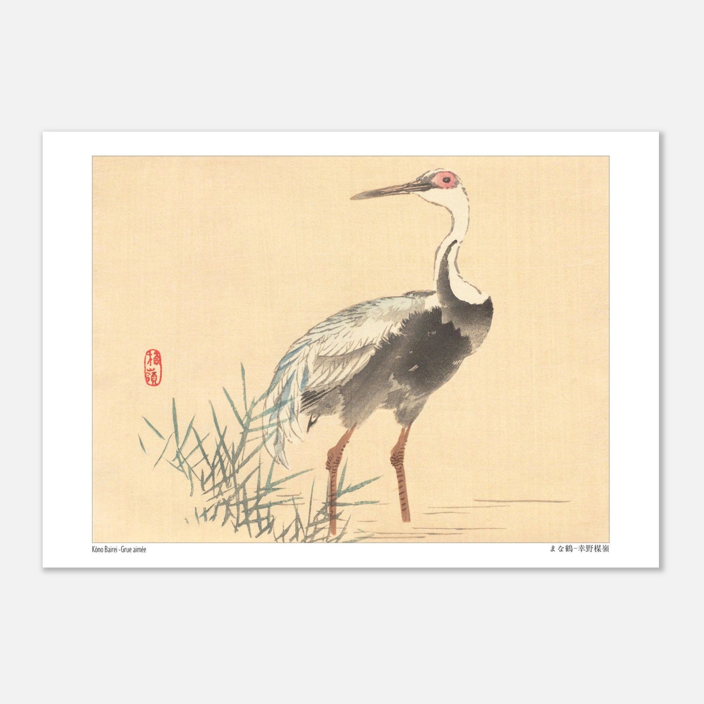 Grue Aimée dans les Roseaux, Illustration Naturaliste de Kōno Bairei (21x29,7 cm (A4)). Illustration naturaliste d'une grue aimée de Kōno Bairei, se tenant debout dans l'eau entourée de roseaux, sur fond beige.
