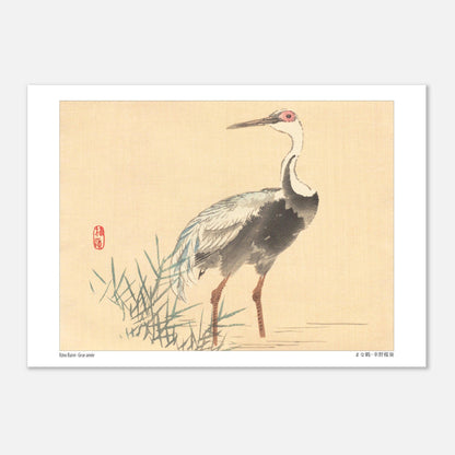Grue Aimée dans les Roseaux, Illustration Naturaliste de Kōno Bairei (21x29,7 cm (A4)). Illustration naturaliste d'une grue aimée de Kōno Bairei, se tenant debout dans l'eau entourée de roseaux, sur fond beige.