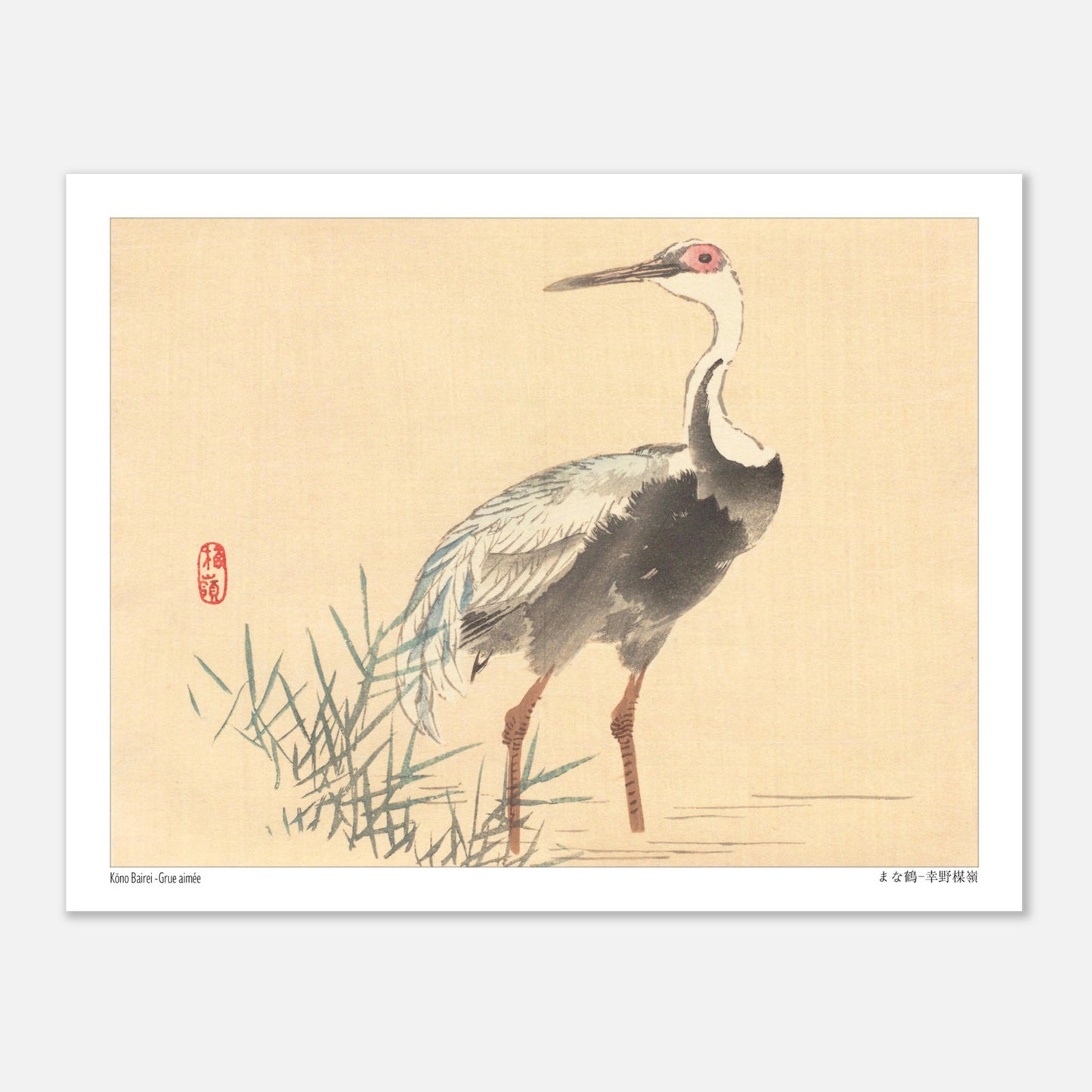 Grue Aimée dans les Roseaux, Illustration Naturaliste de Kōno Bairei (27x35 cm). Illustration naturaliste d'une grue aimée de Kōno Bairei, se tenant debout dans l'eau entourée de roseaux, sur fond beige.