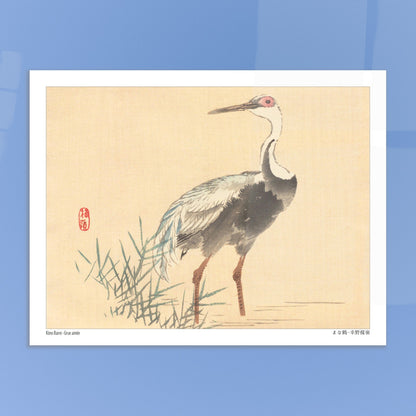 Grue Aimée dans les Roseaux, Illustration Naturaliste de Kōno Bairei. Illustration naturaliste d'une grue aimée de Kōno Bairei, se tenant debout dans l'eau entourée de roseaux, sur fond beige. Image d'illustration 5