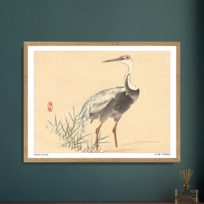 Grue Aimée dans les Roseaux, Illustration Naturaliste de Kōno Bairei. Illustration naturaliste d'une grue aimée de Kōno Bairei, se tenant debout dans l'eau entourée de roseaux, sur fond beige. Image d'illustration 6