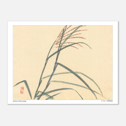 Herbe des pampas (Susuki), estampe japonaise par Kōno Bairei (15x20 cm). Estampe japonaise représentant des tiges de roseaux avec des épis, sur un fond clair.